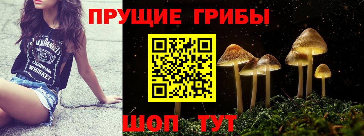 Галлюциногенные грибы GOLDEN TEACHER Дивногорск
